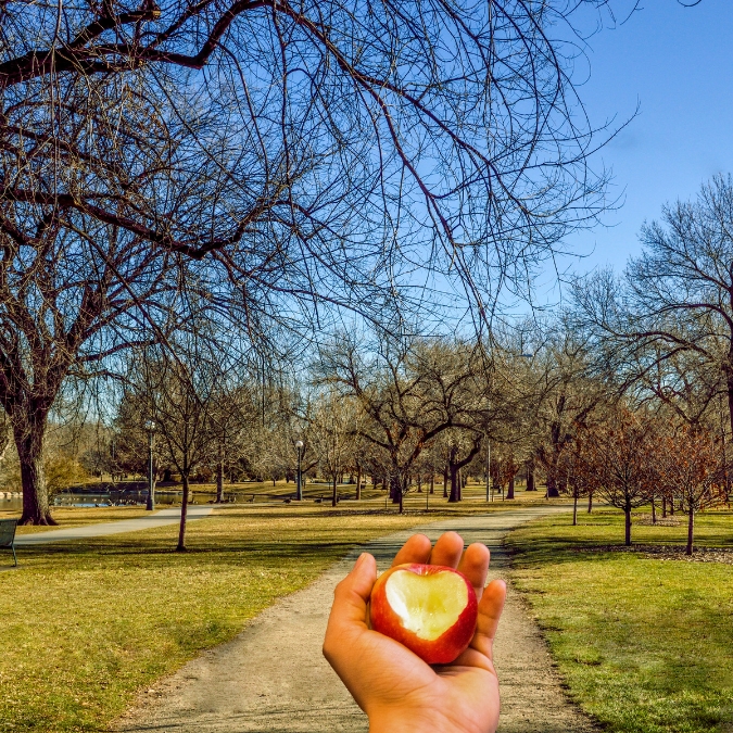 Holistic Health | Wellness