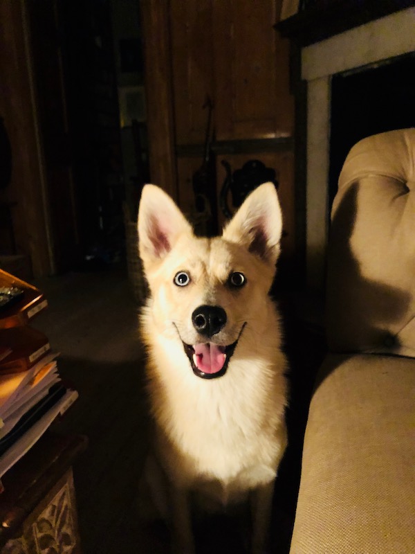pan smiling