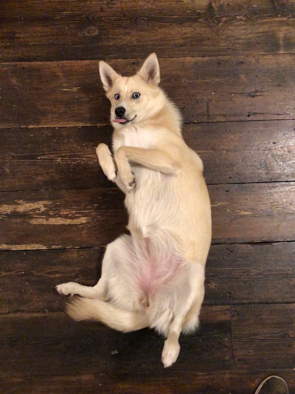 pan showing her belly