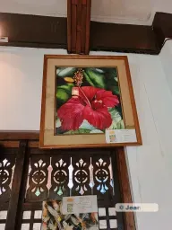 Watercolor painting - Gumamela