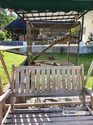 Swing bench