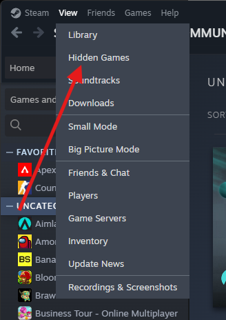 Steam View menu showing Hidden Games option