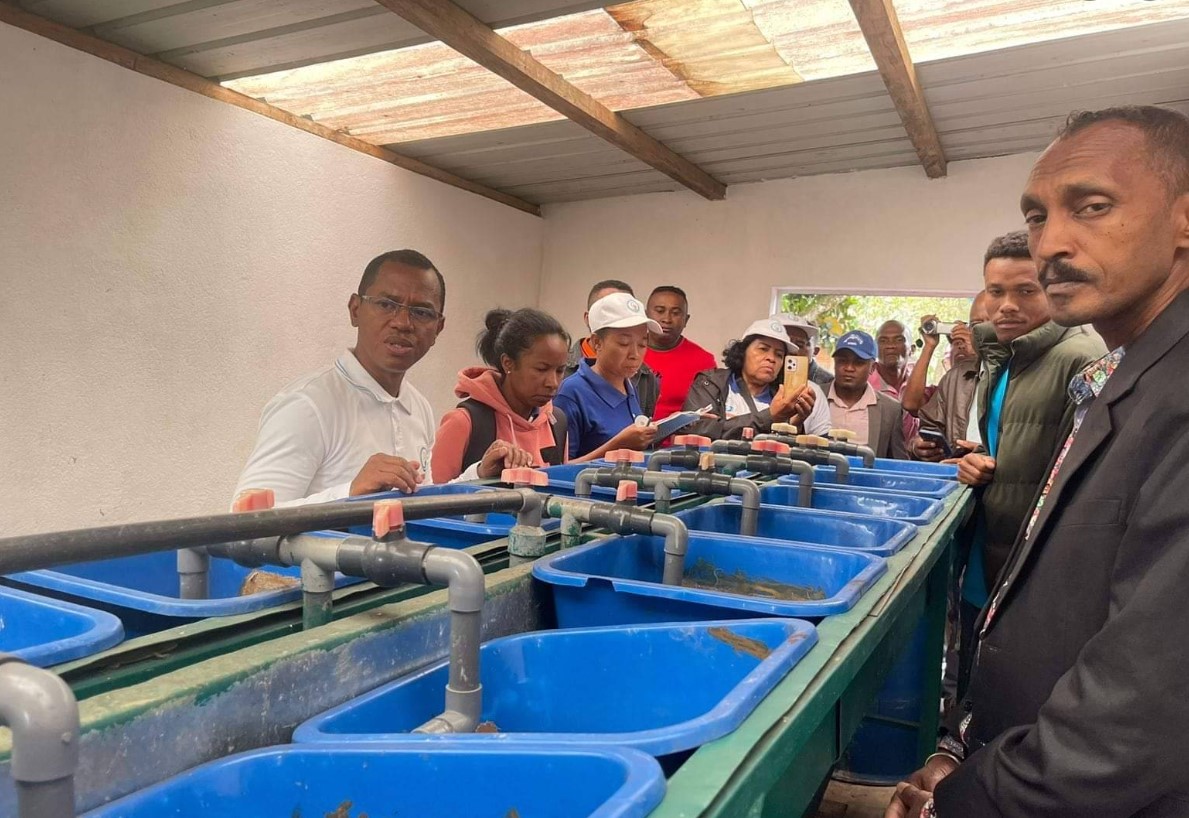 Madagascar : Lancement d'une Zone d'Émergence Piscicole pour Transformer l'Aquaculture et Renforcer la Sécurité Alimentaire | Ekonomika Mag MDG