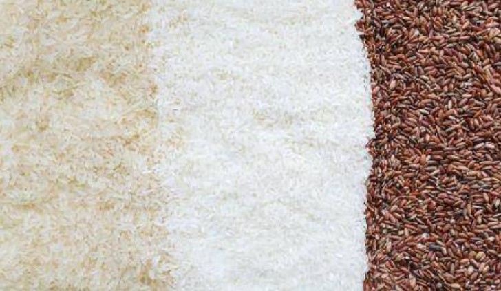 Report des achats de riz : Les pays africains pourraient bénéficier d'une baisse des prix d'ici fin 2024 | Ekonomika Mag MDG