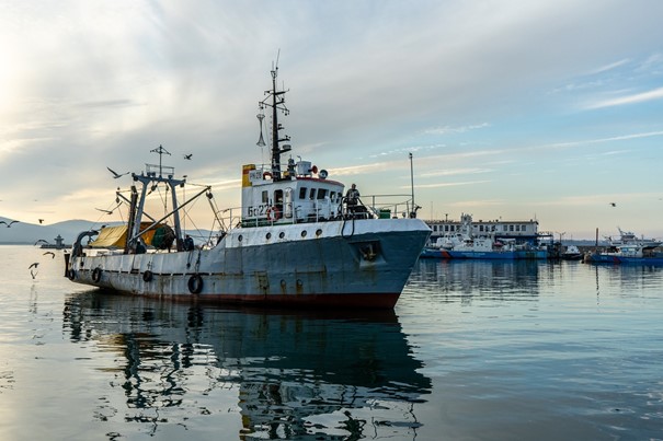 Importance de l'industrie de la pêche dans l'économie de Madagascar | Ekonomika Mag MDG