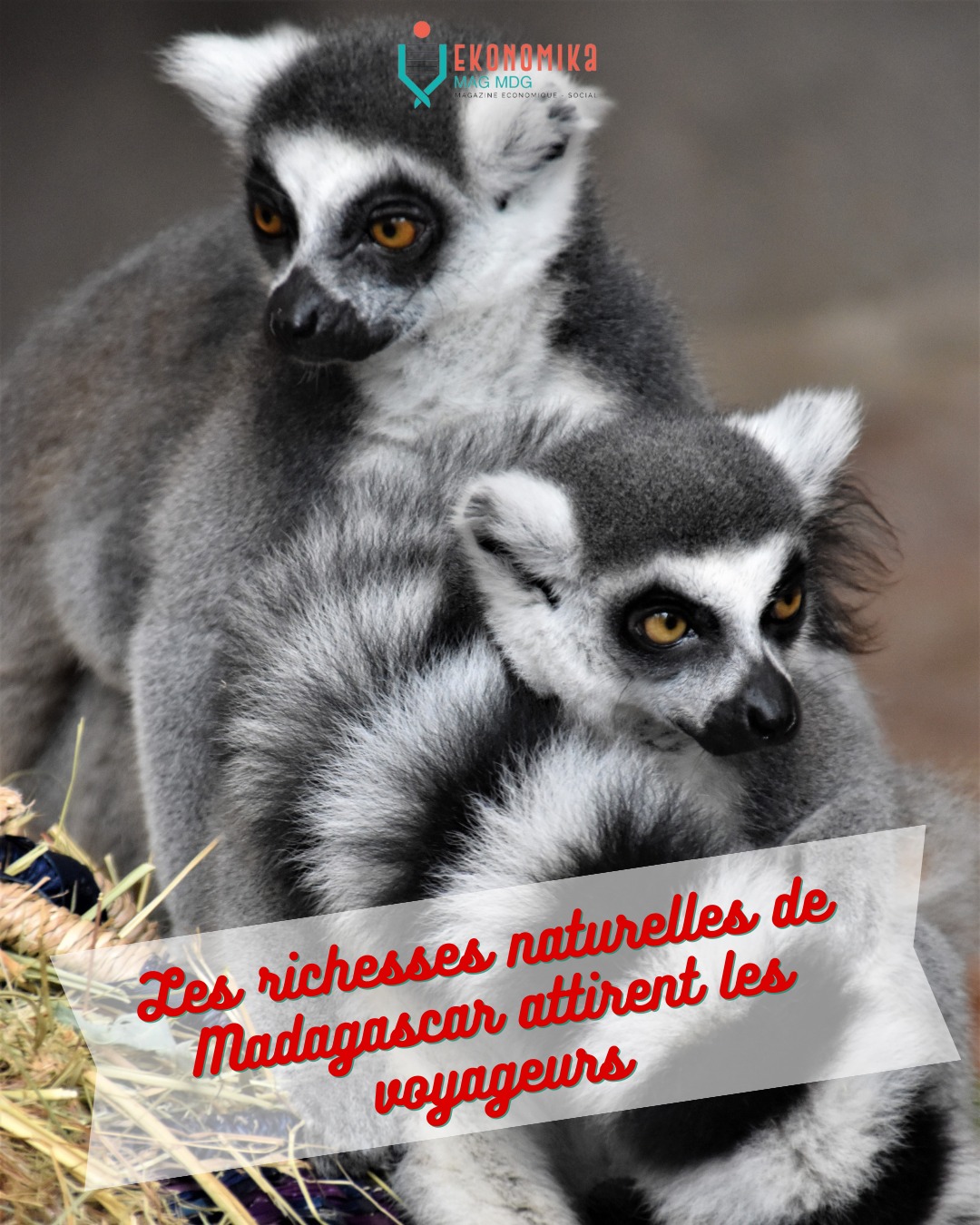 La Magie de Madagascar : Ses Atouts Naturels qui Fascinent