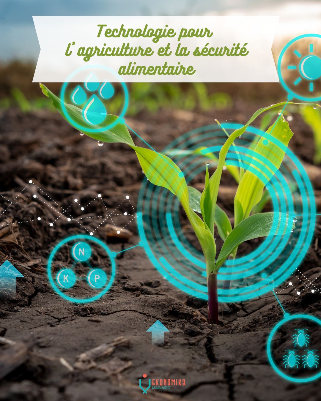 Technologie pour l'agriculture et la sécurité alimentaire | Ekonomika Mag MDG