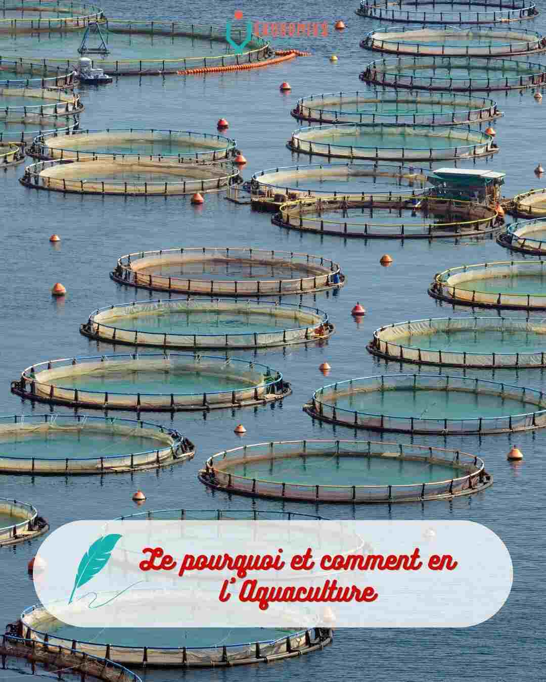 L'Aquaculture à Madagascar : des perspectives économiques et d'emploi pour les jeunes