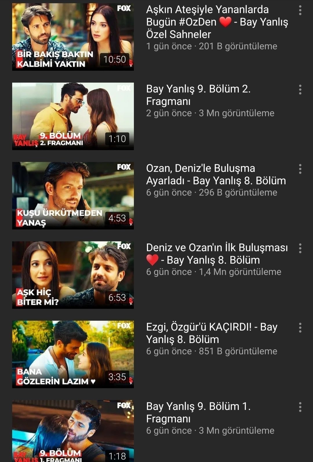 Bay Yanlış Dizisi