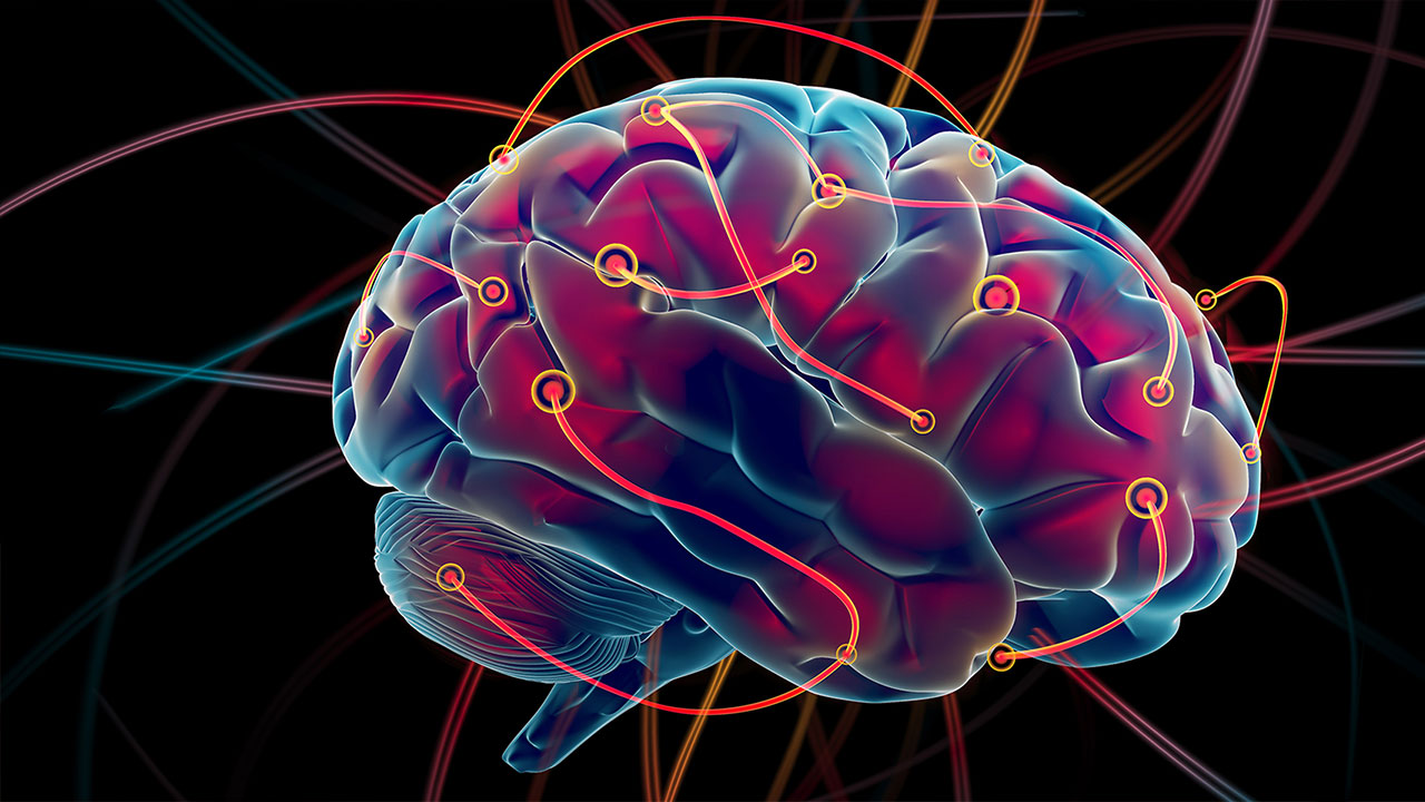 Epilepsi Hakkında Tüm Detaylar