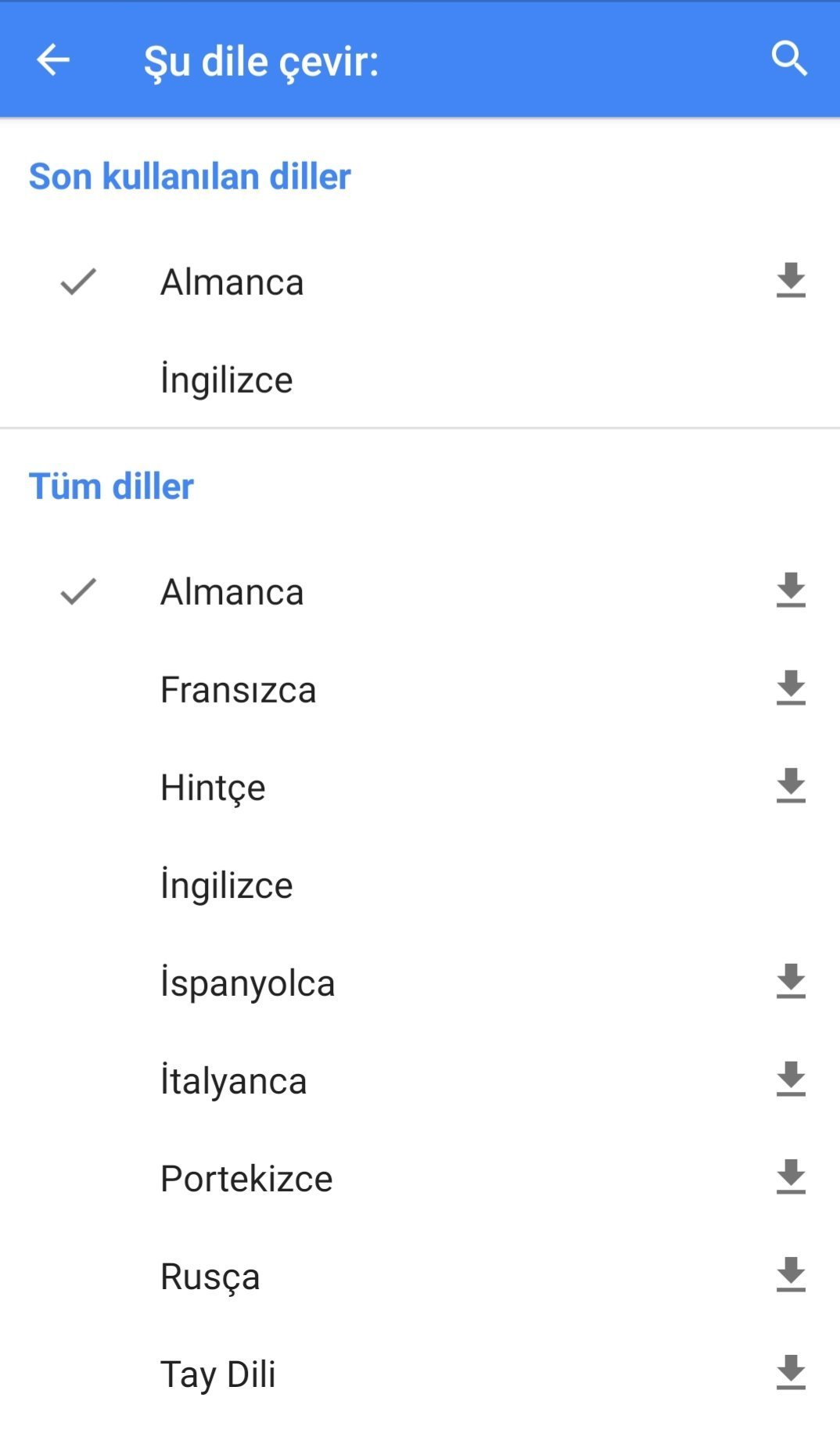 Google Çeviri Anlık Çeviri Dilleri