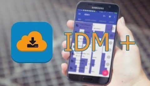 IDM+