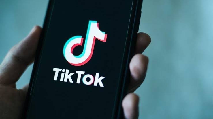 TikTok Platformu