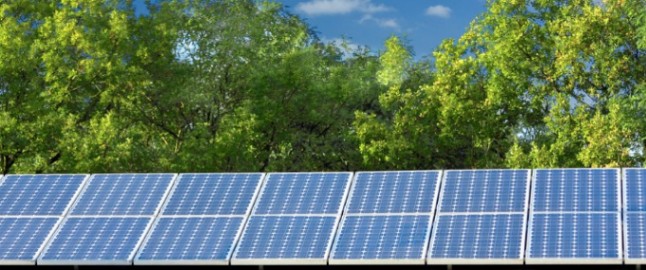 shade and trees impact on solar panels