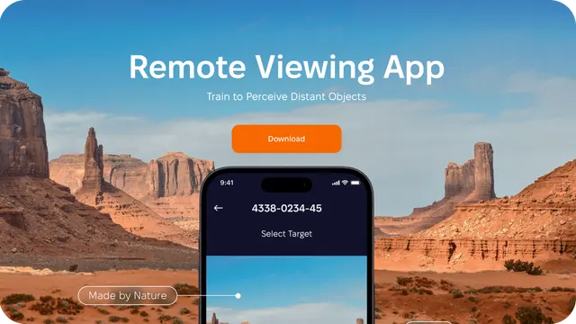 Remote Viewing App Interface