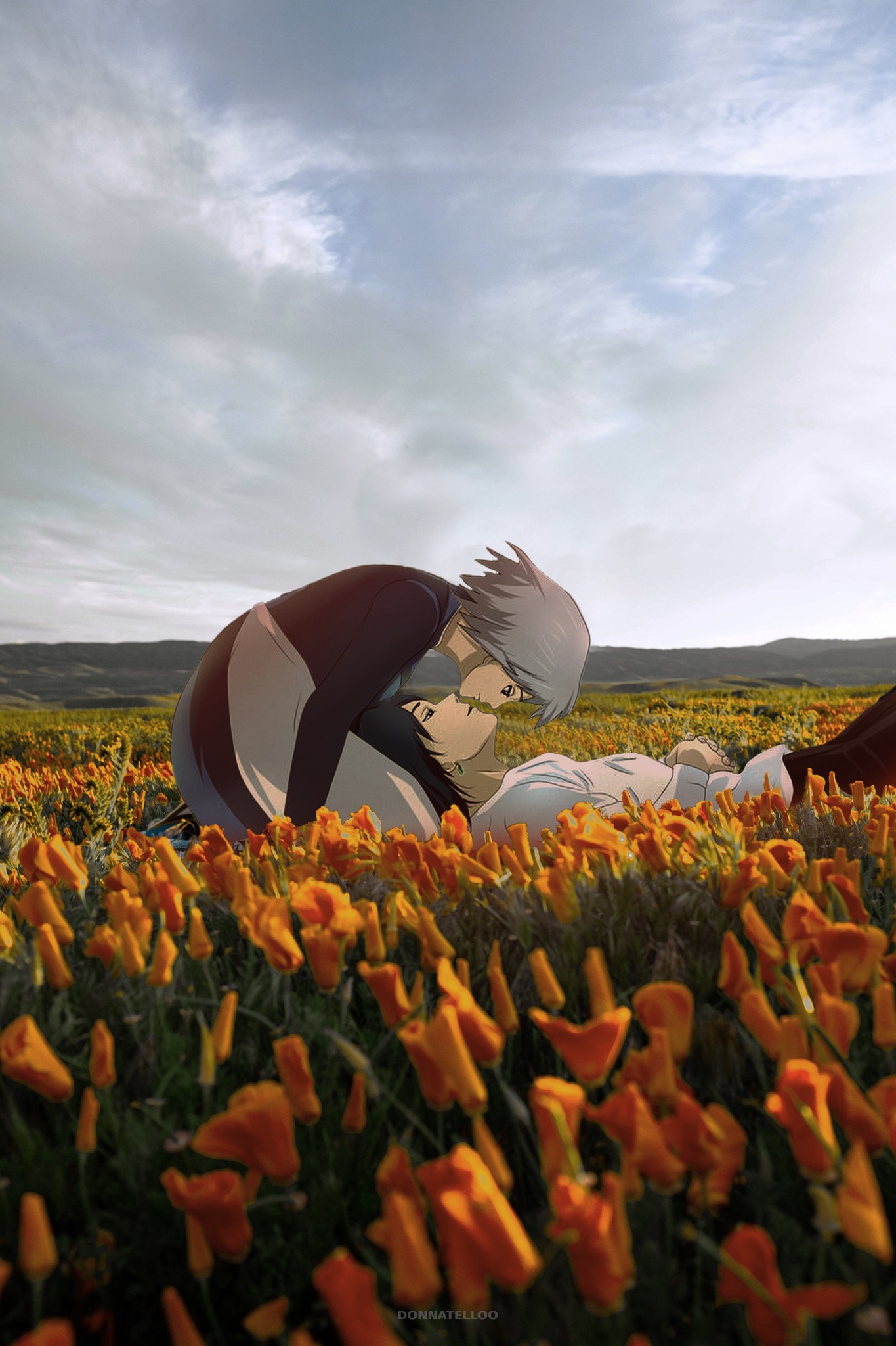 Howls moving castle