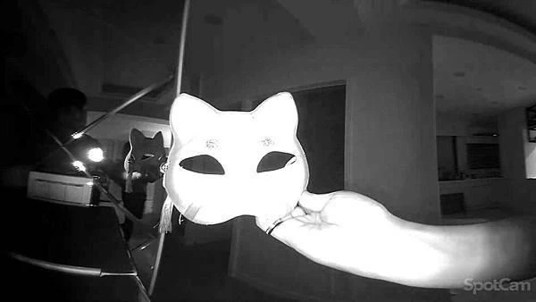 SpotCam Pano 3 全景AI雲端攝影機