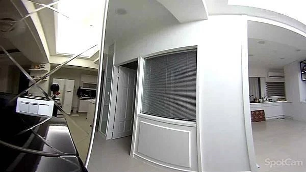 SpotCam Pano 3 全景AI雲端攝影機