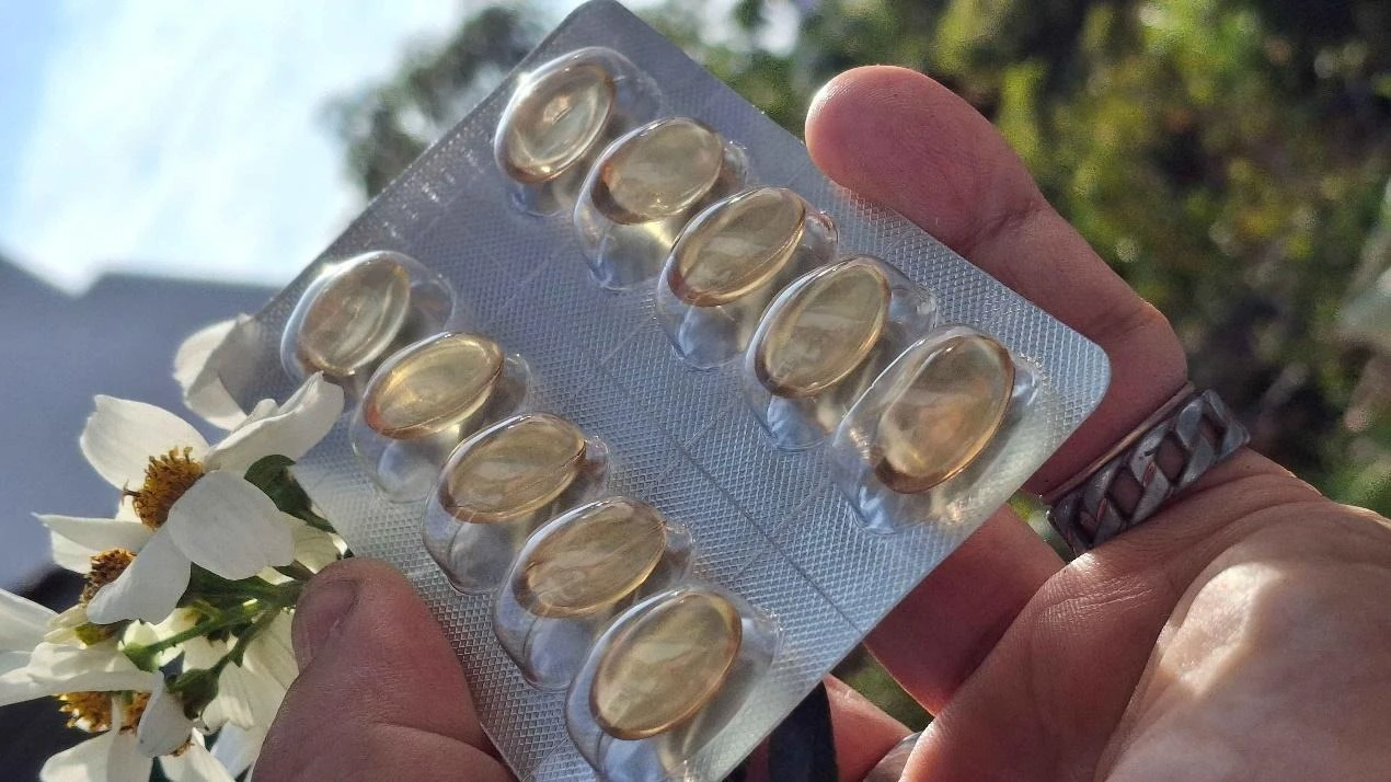 一張含有 人員, 把持, 戶外, 手 的圖片

AI 產生的內容可能不正確。