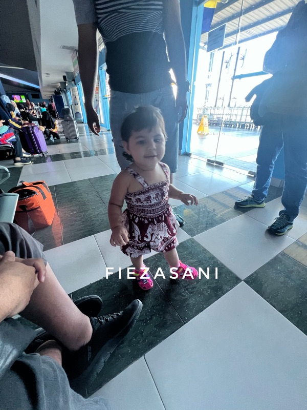 Fieza Sani