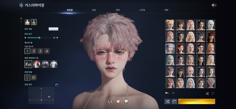 아이온2 커스터마이징