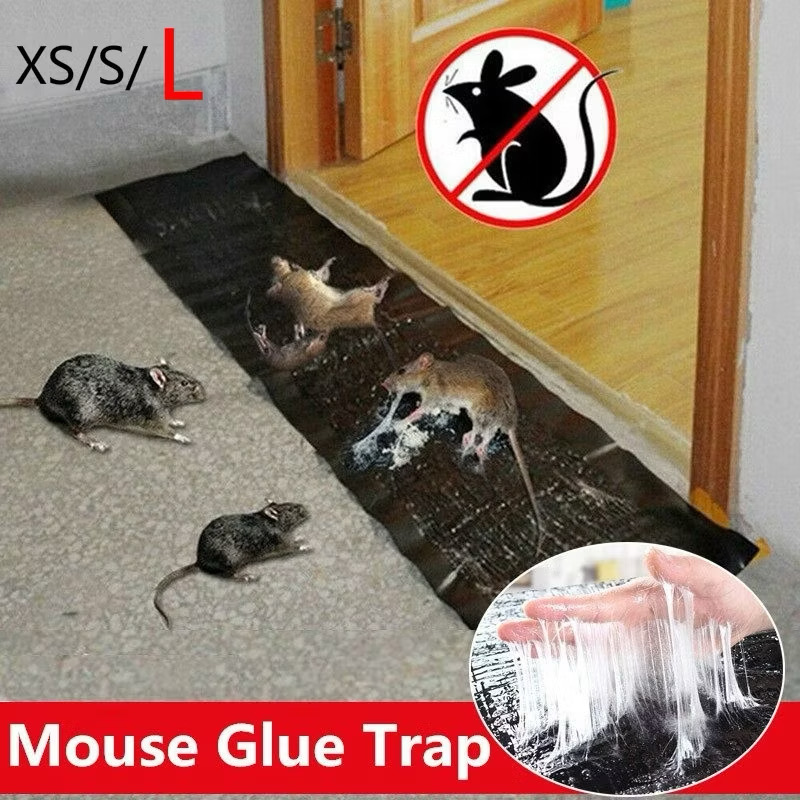 Karpet Lem Tikus