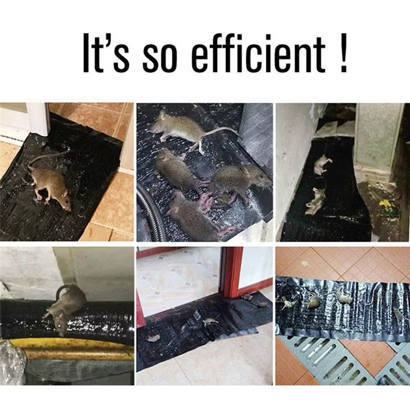 Karpet Lem Tikus