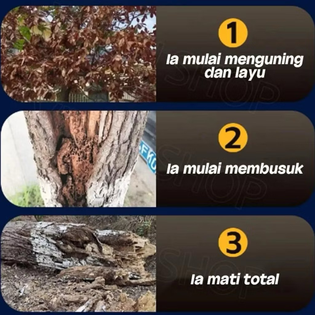 Pupuk Pembunuh Pohon - Foto 4