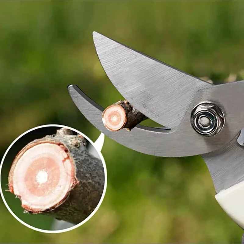 Gunting Dahan Hasil Potongan
