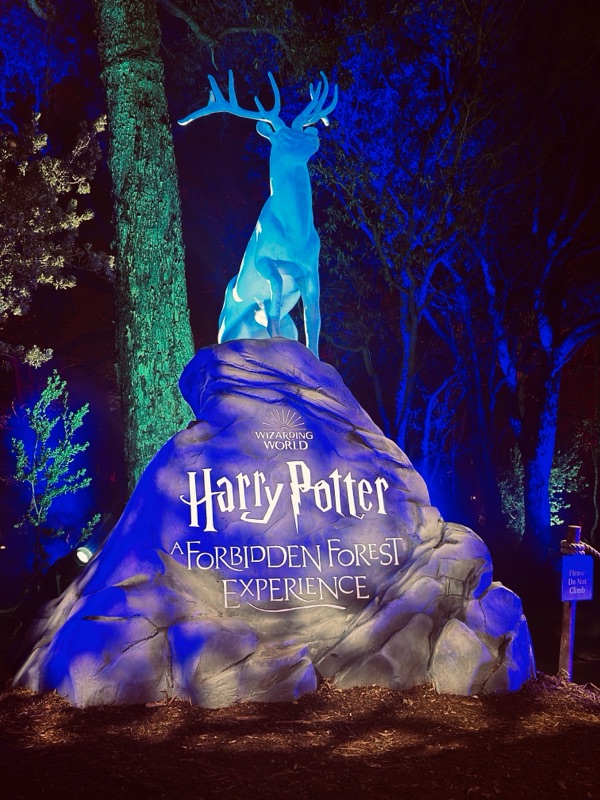 #34 Harry Potter : A Forbidden Forest Experience