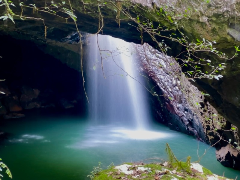 #38 Playing Tourist : Day Two - Natural Bridge, Mt Tamborine, Glow Worms Cave & Rainforest Sky Walk (Part 1)