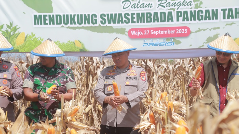 Zoom Meeting, Polres Wajo Ikut Sukseskan Panen Raya Jagung Serentak Kuartal III, Dukung Swasembada Pangan Nasional
