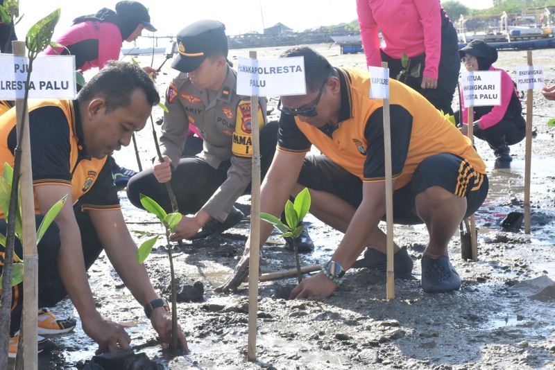Dalam Rangka Hari Bhayangkara ke-80, Kapolresta Palu Pimpin Penanaman 1000 Pohon Mangrove di Pantai Dupa


