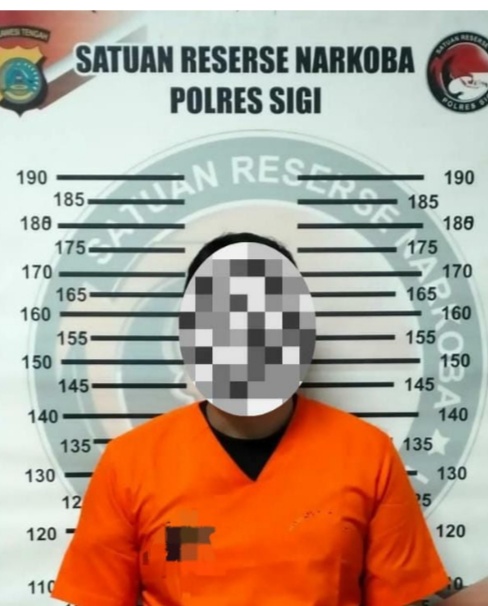 Polres Sigi Ungkap Kasus Sabu di Kulawi Selatan, Seorang Pria Diamankan di Poleroa Makuhi

