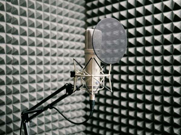A_pristine_large_diaphragm_condenser_202605050054.jpeg