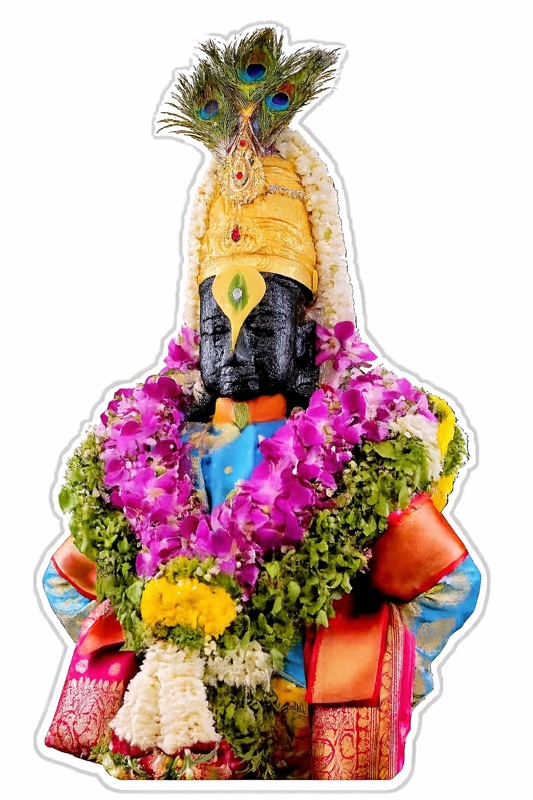 "एकादशी व्रत करिती जे जन। तयां नारायण जवळी असे।।"