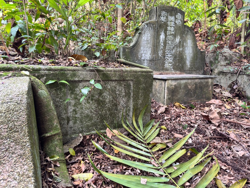 Tan See Neo tomb and grave setting, Bukit Brown Block 3C