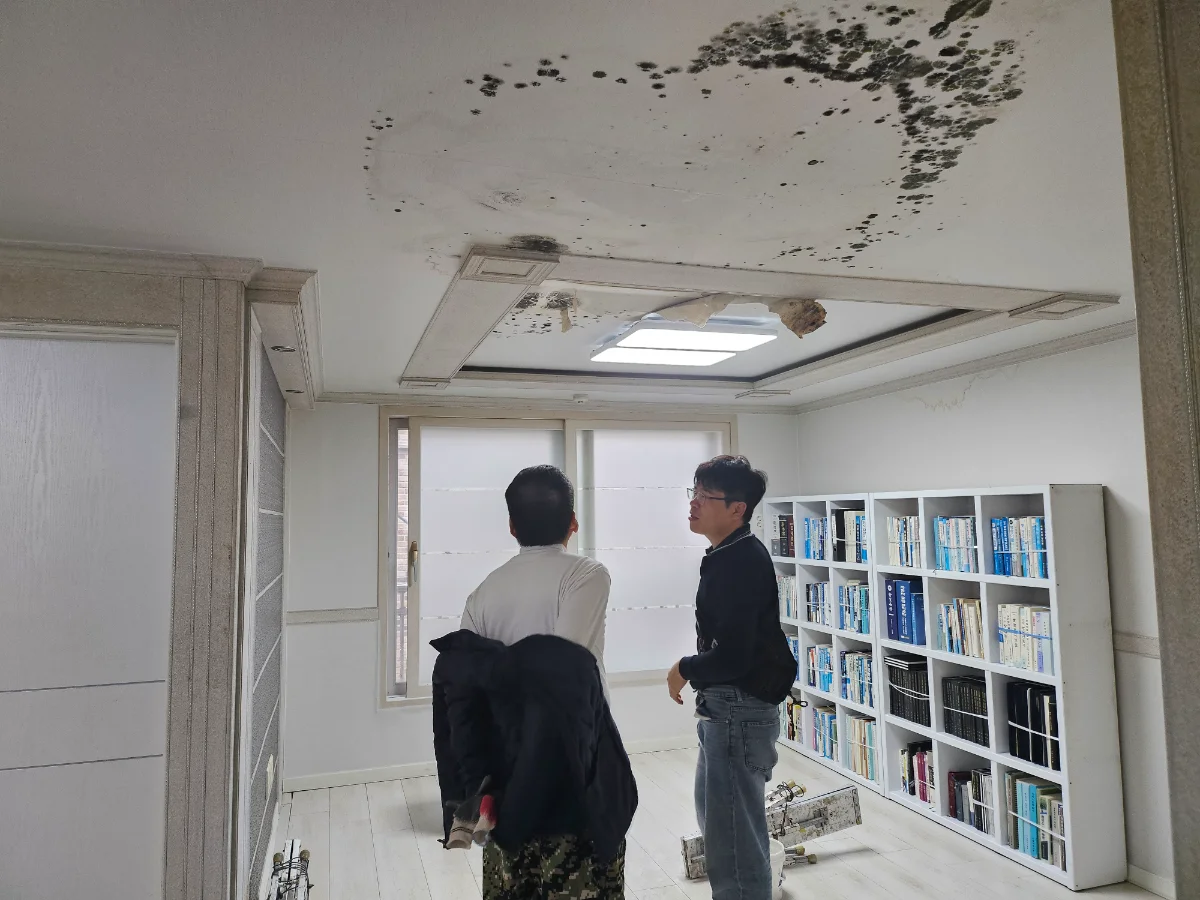 인천 만수동 곰팡이 도배시공  벽지 제거 & 도배 시공 후기 | 재발 방지 완벽 정리