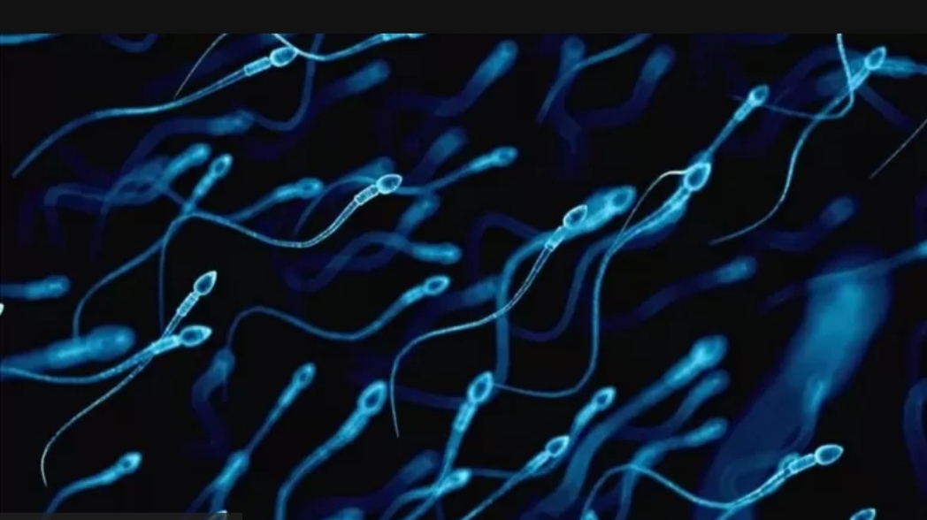 Published from Blogger Prime Android App