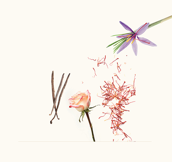Published from Blogger Prime Android App