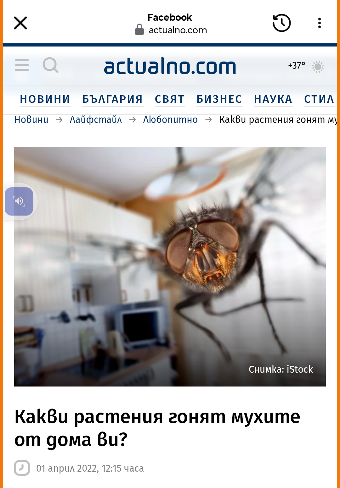 Published from Blogger Prime Android App