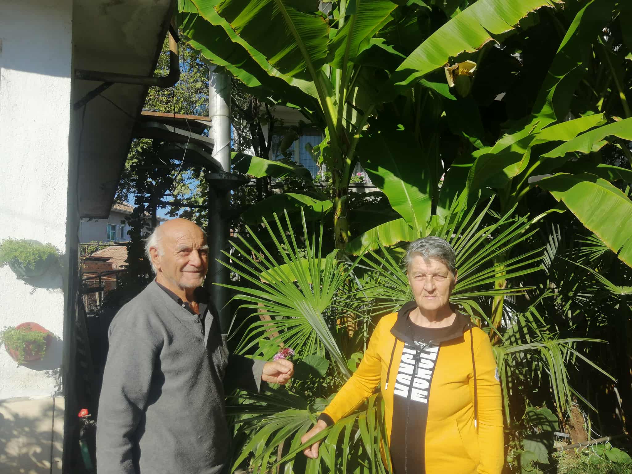 Published from Blogger Prime Android App