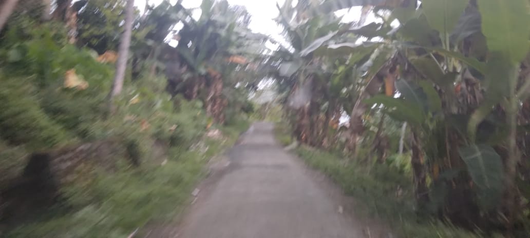 Published from Blogger Prime Android App