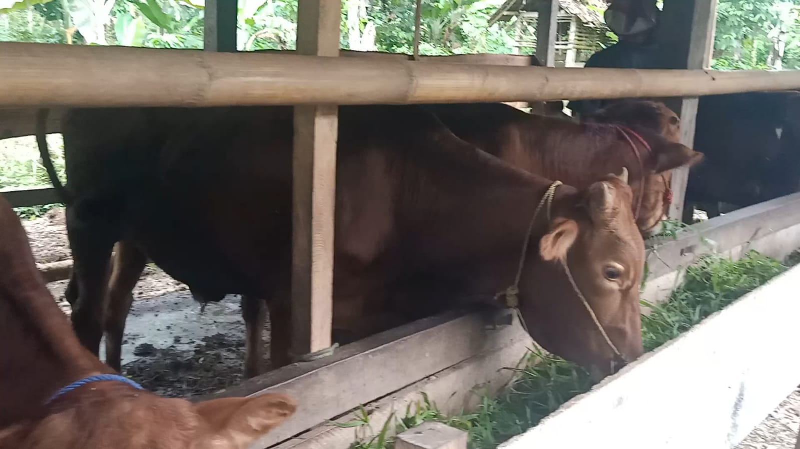 Published from Blogger Prime Android App