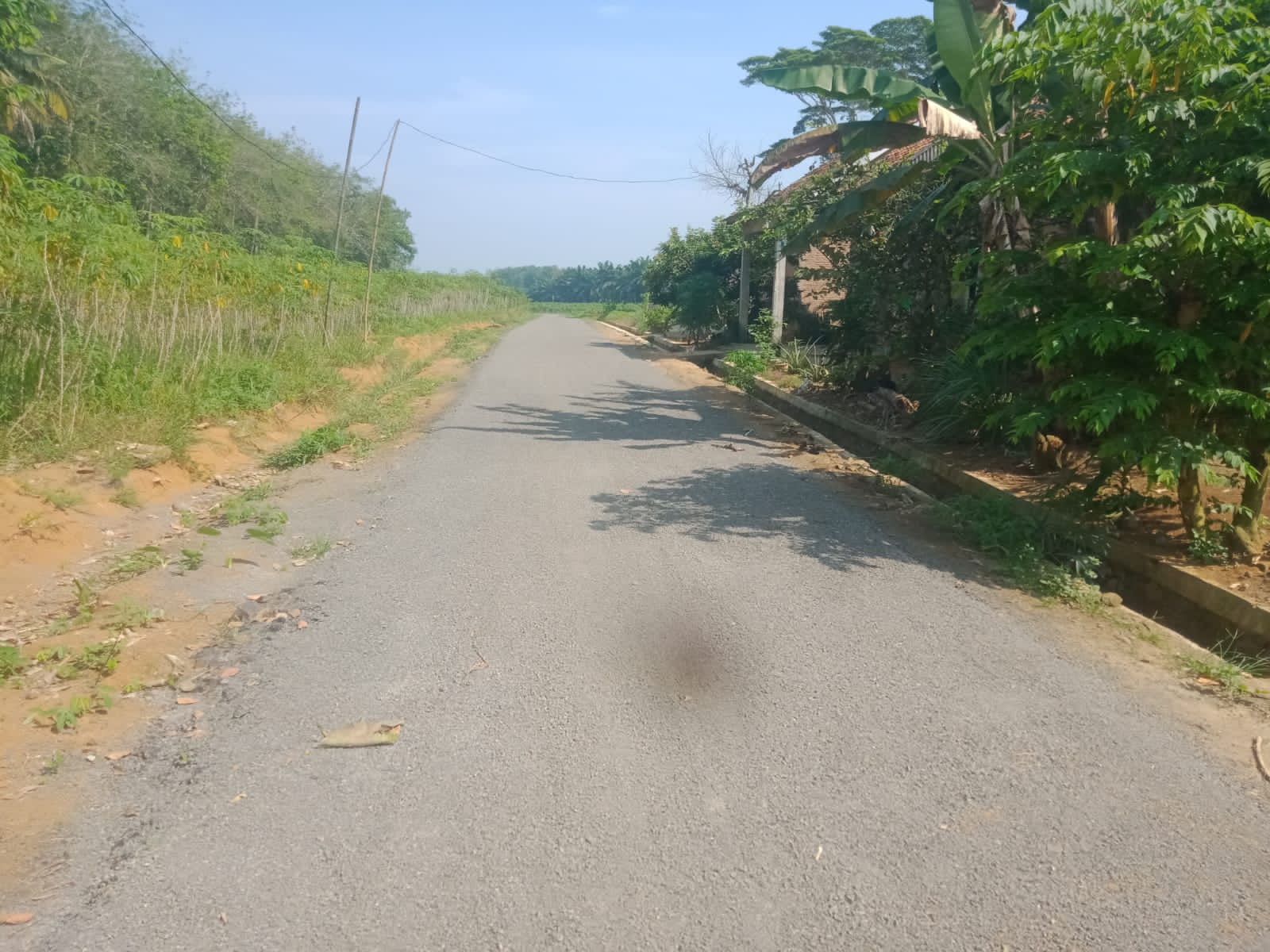 Published from Blogger Prime Android App