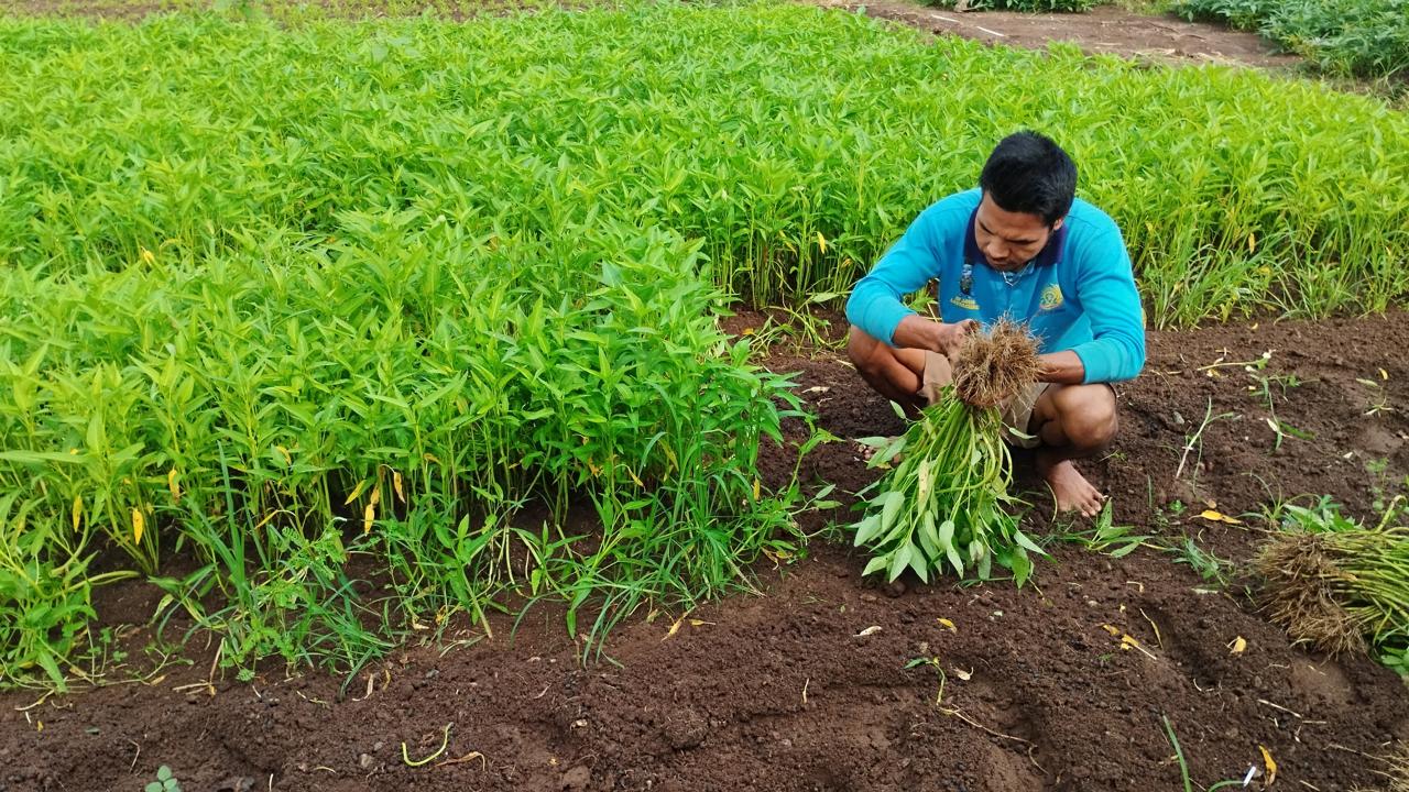 Published from Blogger Prime Android App