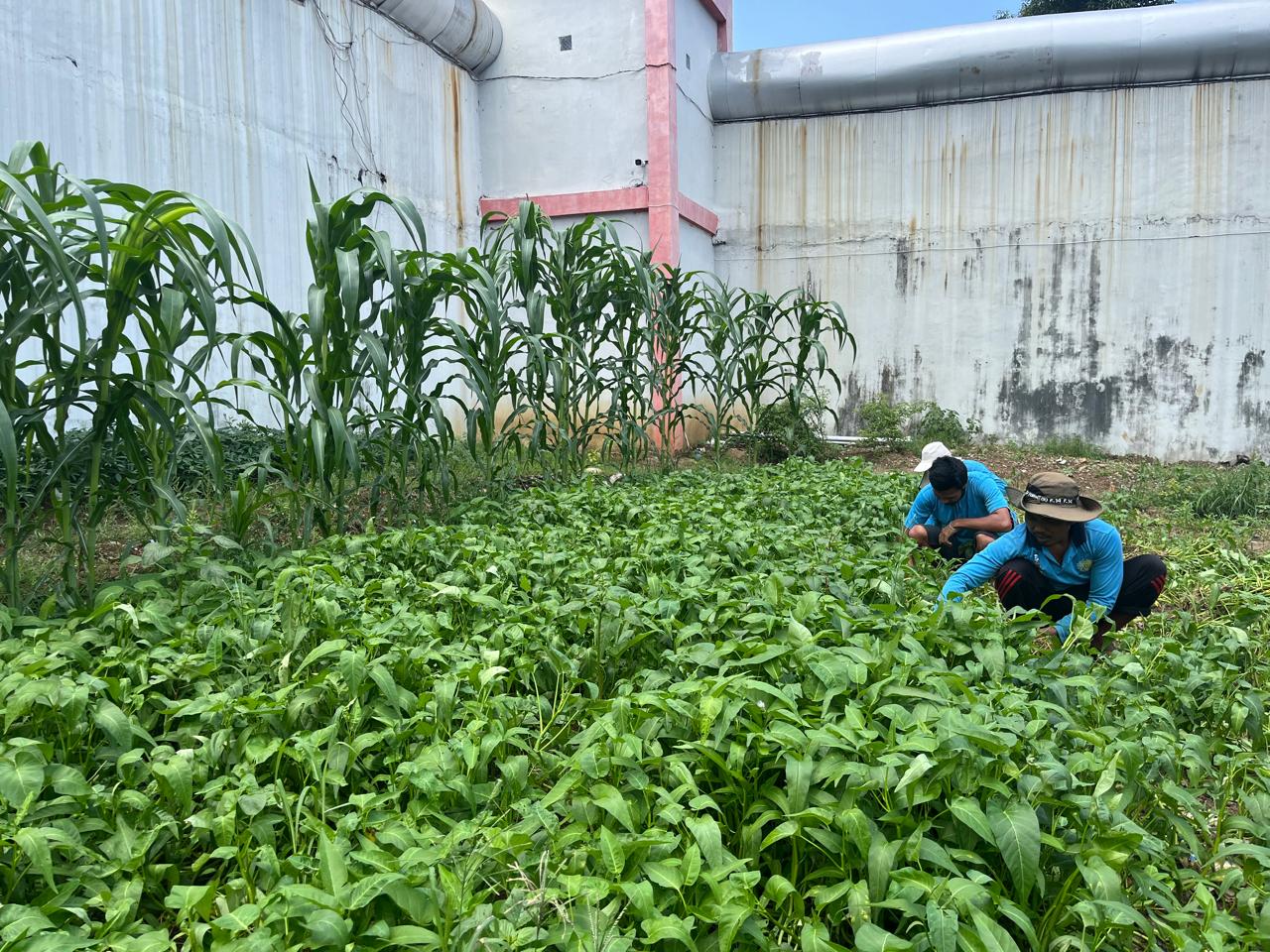 Published from Blogger Prime Android App