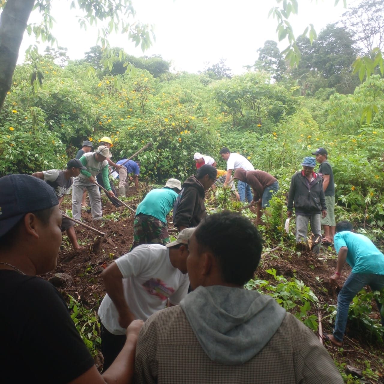 Published from Blogger Prime Android App