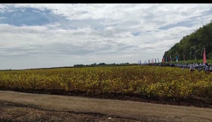 Published from Blogger Prime Android App