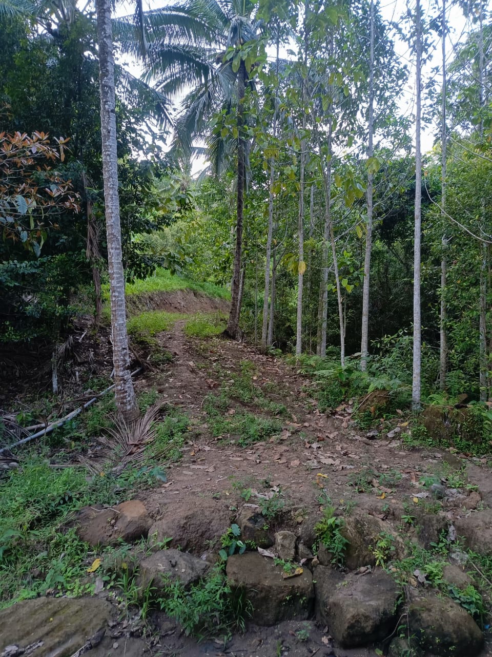 Published from Blogger Prime Android App